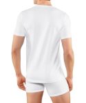 Koszulki-meskie-basic-2pak-Falke-ModaClubDtore- (19).jpg